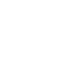 Implementation Partners
