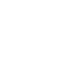 Knowledge Partners