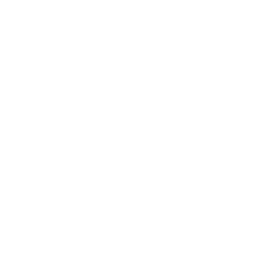 Technology Partners